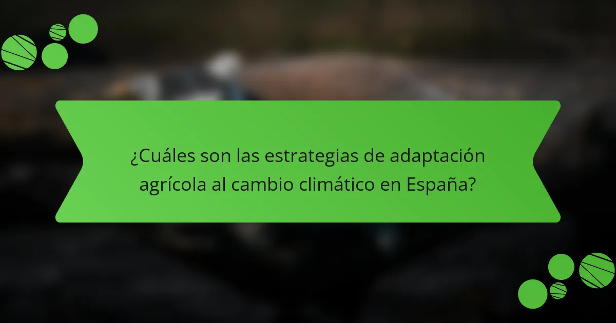 ¿Cuáles son las estrategias de adaptación agrícola al cambio climático en España?