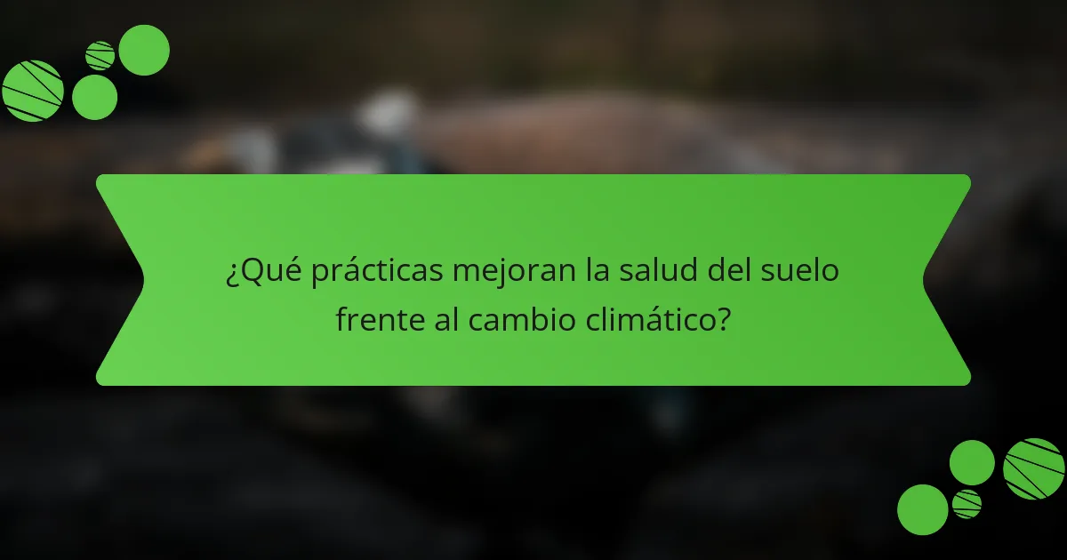 ¿Qué prácticas mejoran la salud del suelo frente al cambio climático?